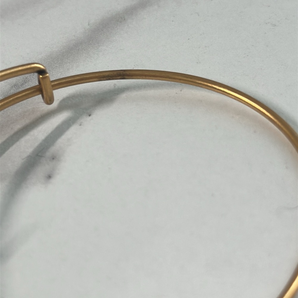 Pre owned Alex and Ani 2014 Charm Bangle Bracelet - Picture 10 of 13